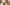 Allaitement-enfant-mignon